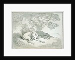 Greyhounds Asleep, by Thomas Rowlandson