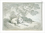 Greyhounds Asleep, by Thomas Rowlandson