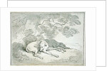 Greyhounds Asleep, by Thomas Rowlandson