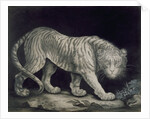 A Prowling Tiger by Elizabeth Pringle