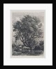 The Willow by Samuel Palmer