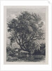 The Willow by Samuel Palmer