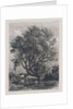 The Willow by Samuel Palmer