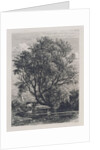 The Willow by Samuel Palmer
