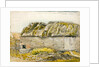A Barn with a Mossy Roof, Shoreham by Samuel Palmer