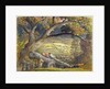 The Timber Wain, c.1833-34 by Samuel Palmer