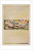 Jehovah stood among the Druids... by William Blake