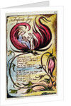 Infant Joy by William Blake