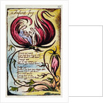 Infant Joy by William Blake