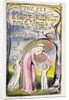 The Fly by William Blake