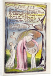 The Fly by William Blake