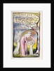 The Fly by William Blake