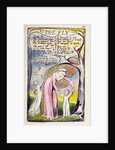 The Fly by William Blake