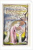 The Fly by William Blake