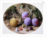 Plums and Mulberries, c.1860 by William Henry Hunt