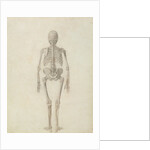 A Comparative Anatomical Exposition of the Structure of the Human Body with that of a Tiger and a Common Fowl by George Stubbs
