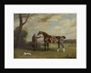 The Earl of Shrewsbury's Groom Holding a Hunter, c.1800 by Henry Bernard Chalon