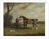 The Earl of Shrewsbury's Groom Holding a Hunter, c.1800 by Henry Bernard Chalon