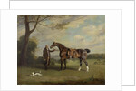 The Earl of Shrewsbury's Groom Holding a Hunter, c.1800 by Henry Bernard Chalon
