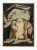 A naked man with a long beard kneeling with one knee raised and both hands on the ground by William Blake