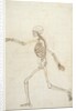 Study of the Human Figure, Lateral View by George Stubbs