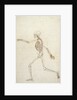 Study of the Human Figure, Lateral View by George Stubbs