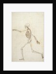Study of the Human Figure, Lateral View by George Stubbs