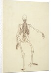 Study of the Human Figure, Posterior View by George Stubbs