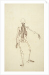 Study of the Human Figure, Posterior View by George Stubbs