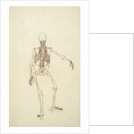 Study of the Human Figure, Posterior View by George Stubbs