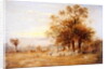 Sheep Grazing, 1835 by John Linnell
