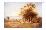 Sheep Grazing, 1835 by John Linnell