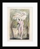 Innocence by William Blake