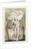 Innocence by William Blake