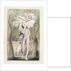 Innocence by William Blake