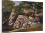 A View of the Valley of Rocks near Mittlach by James Arthur O'Connor