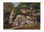 A View of the Valley of Rocks near Mittlach by James Arthur O'Connor