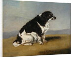 The Duchess of York's Spaniel, 1804 by Henry Bernard Chalon