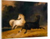 Horses in a Thunderstorm, 1823 by Thomas Woodward