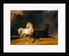 Horses in a Thunderstorm, 1823 by Thomas Woodward