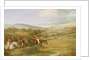 The Berkeley Hunt, Full Cry, 1842 by Francis Calcraft Turner