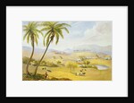 Haughton Court, Hanover, Jamaica, c.1820 by James Hakewill