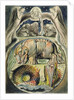 Behemoth and Leviathan, after William Blake by John Linnell