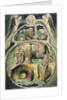 Behemoth and Leviathan, after William Blake by John Linnell