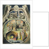Behemoth and Leviathan, after William Blake by John Linnell