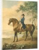 Warren Hastings on his Arabian Horse, 1796 by George Townley Stubbs