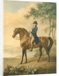 Warren Hastings on his Arabian Horse, 1796 by George Townley Stubbs