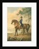 Warren Hastings on his Arabian Horse, 1796 by George Townley Stubbs