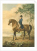 Warren Hastings on his Arabian Horse, 1796 by George Townley Stubbs
