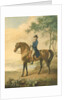 Warren Hastings on his Arabian Horse, 1796 by George Townley Stubbs